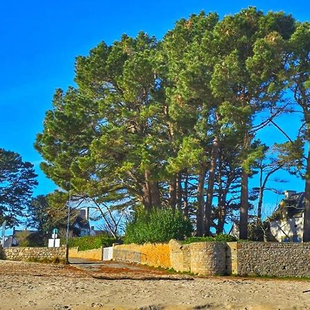 Cocon Neuf - 6 A 8 Pers 3 Chb Proche Plage, Port, Centre Ville Saint-Pierre-Quiberon Eksteriør billede